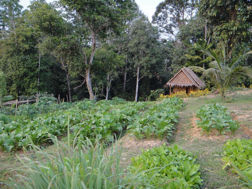 De Chom Takua Thung