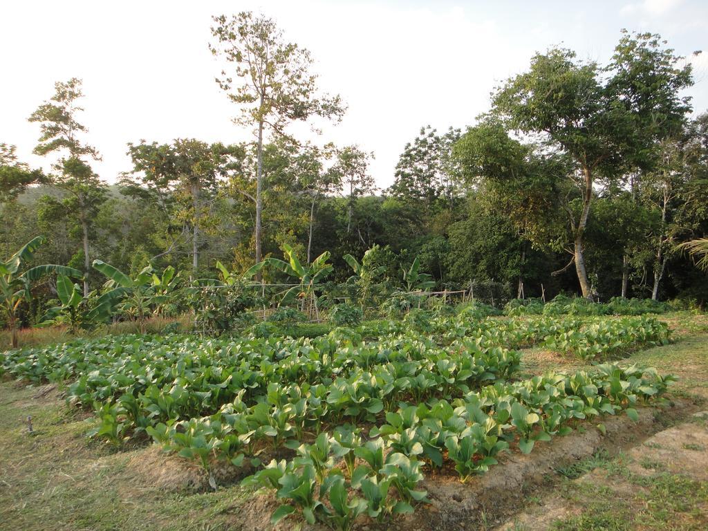 Villa De Chom Takua Thung
