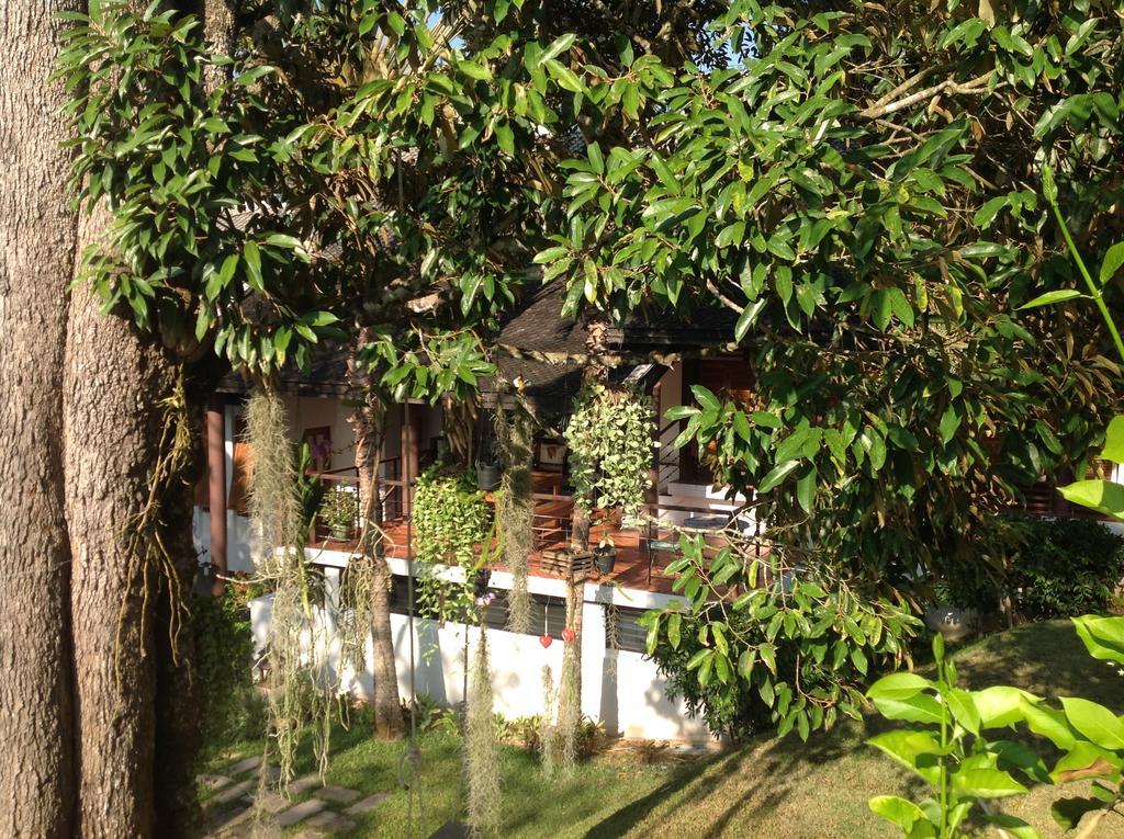 Villa De Chom *