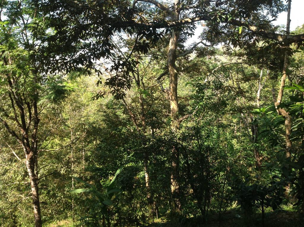 Villa De Chom Takua Thung