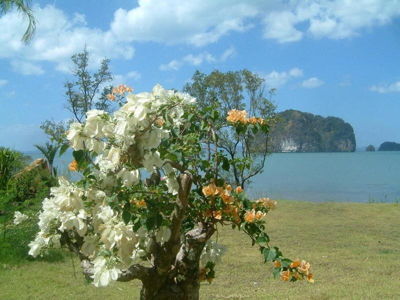 Pousada Tha Lane Bay Villas