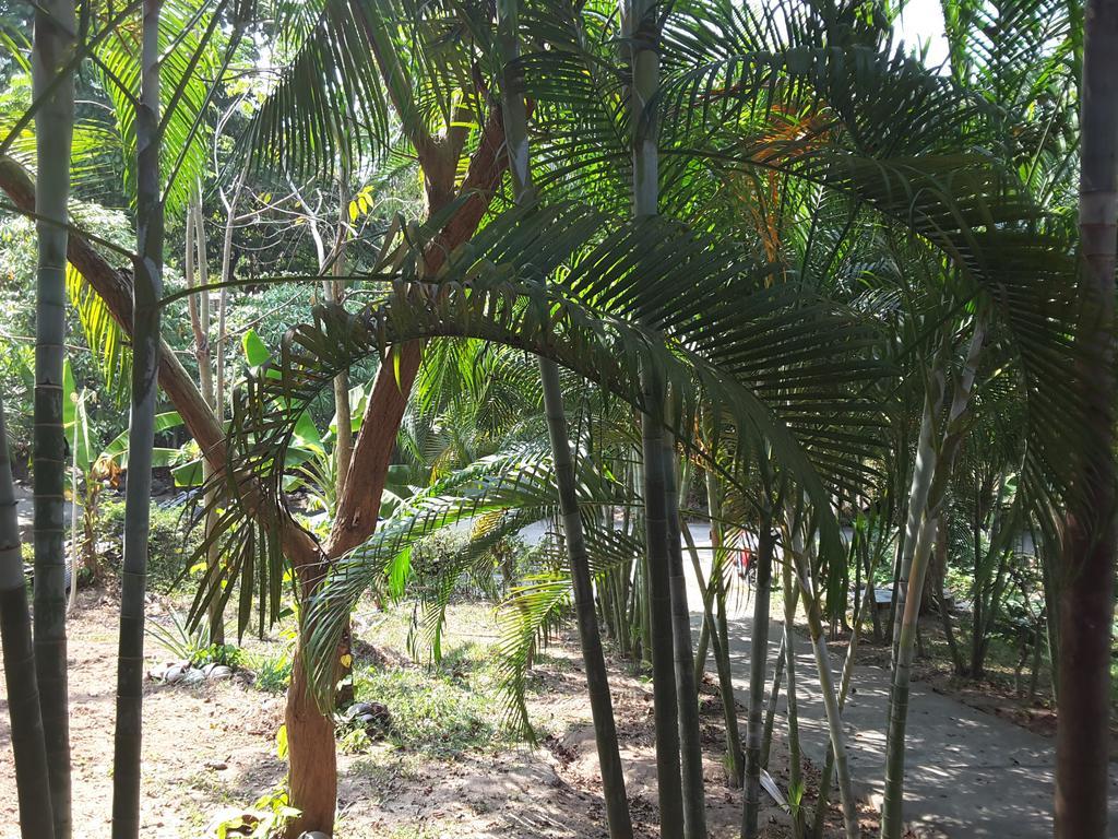 Wilai Villa Lamai