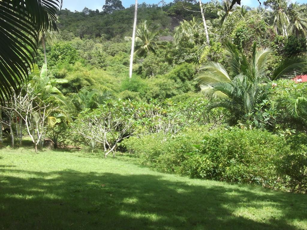 Wilai Villa Lamai Holiday home *