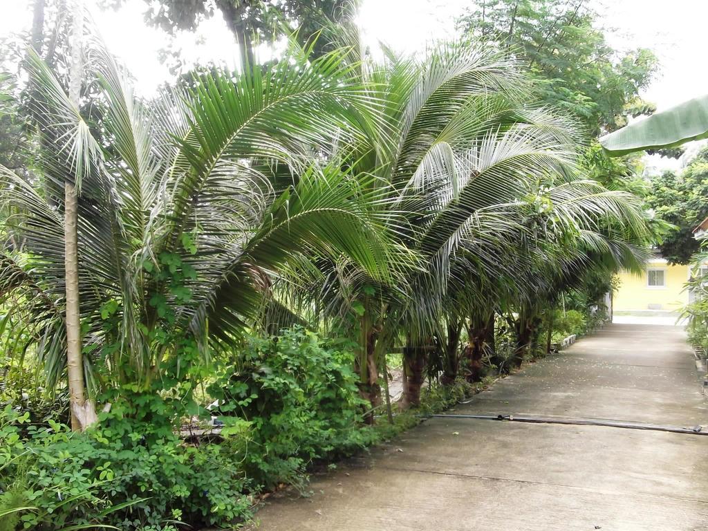 Wilai Villa Lamai Holiday home Maret