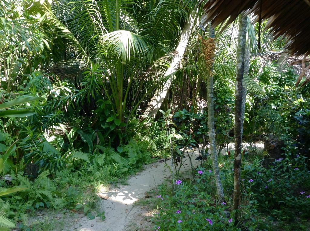 Guest house Dawn Of Happiness 2*