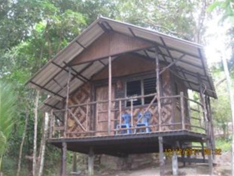 Peace Paradise