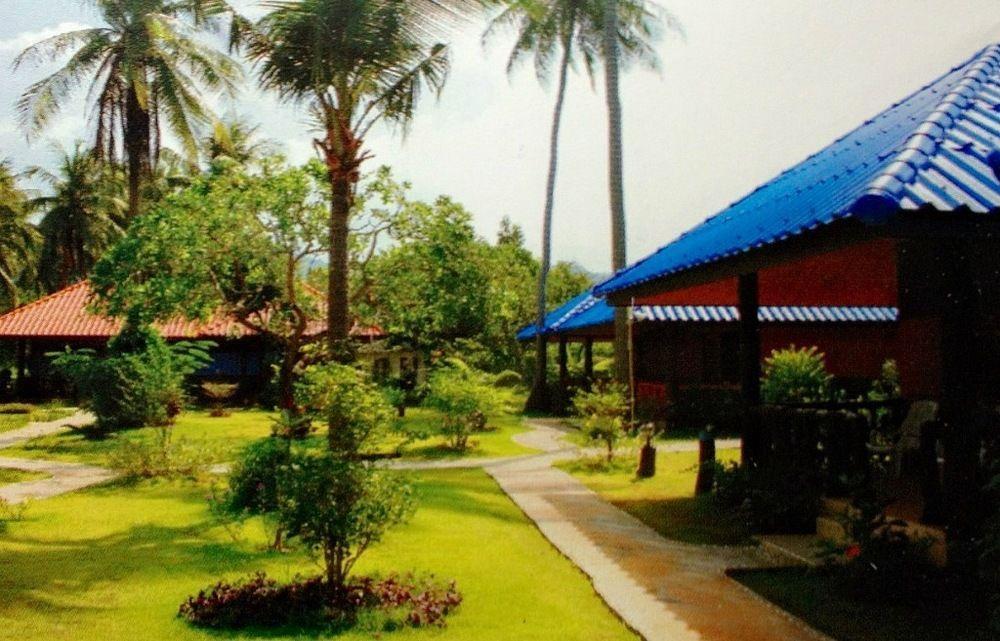 Mild Garden View
