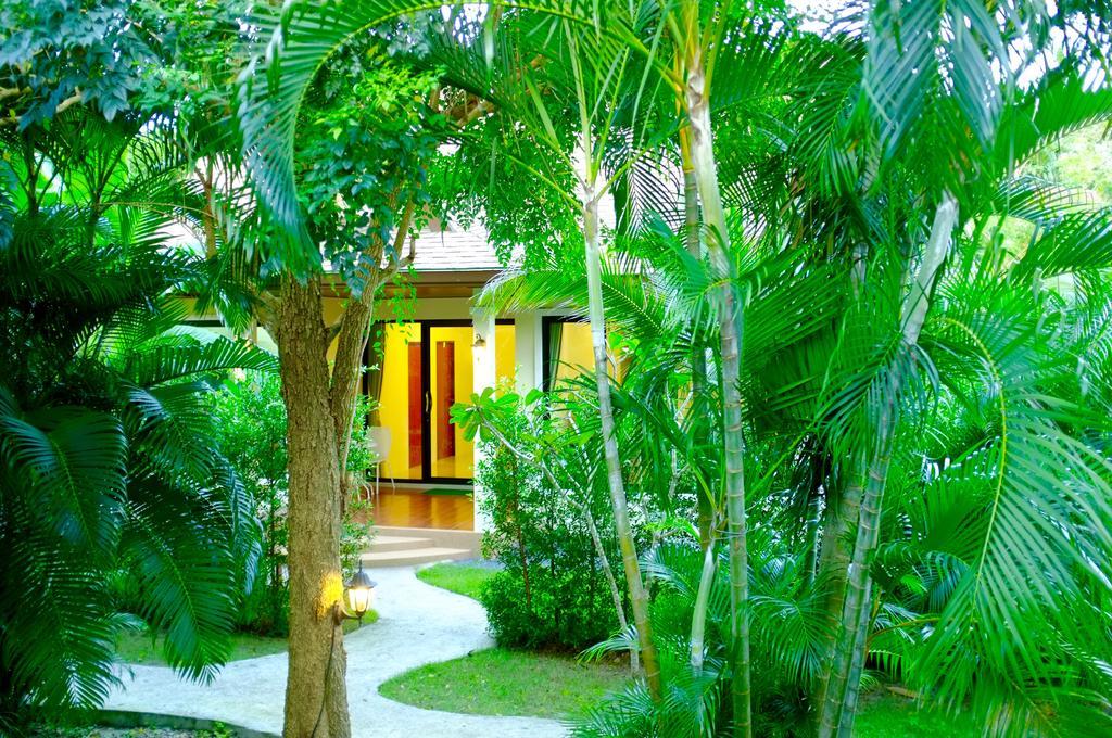 The Nature House Aonang Krabi Thailand