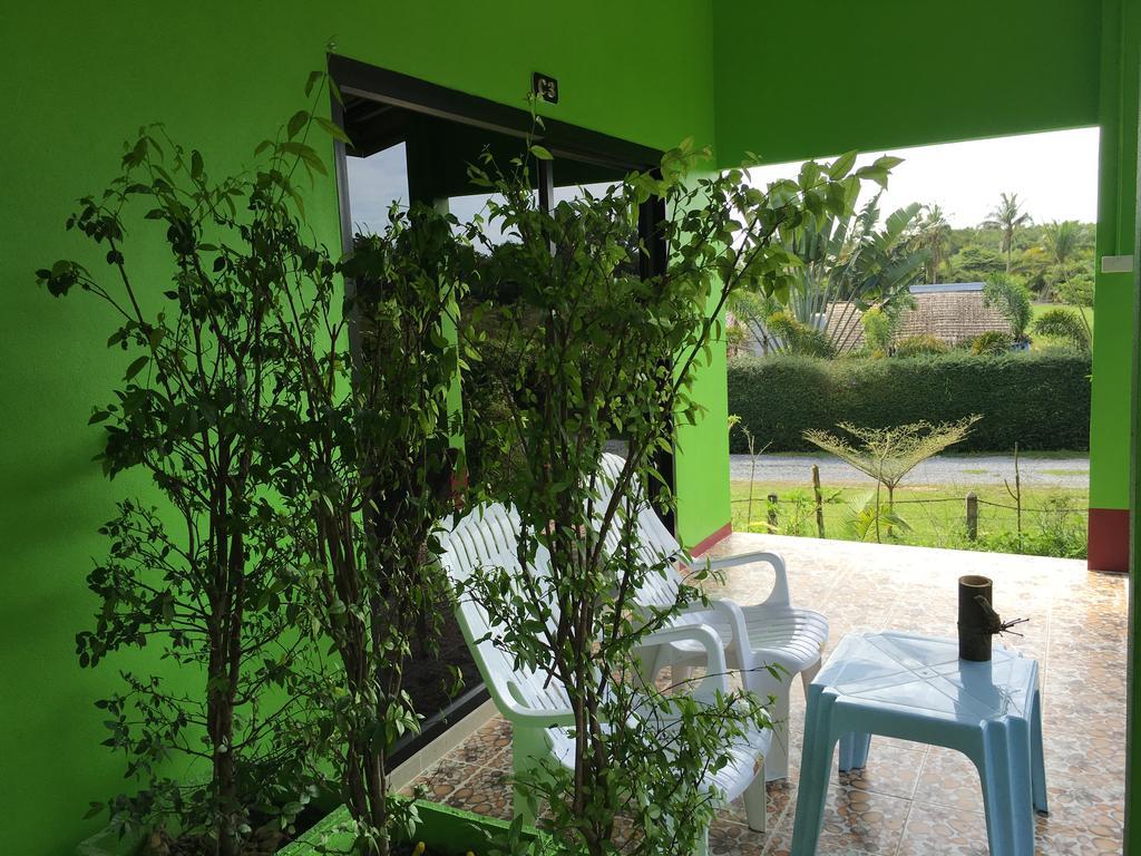 The Jasmine