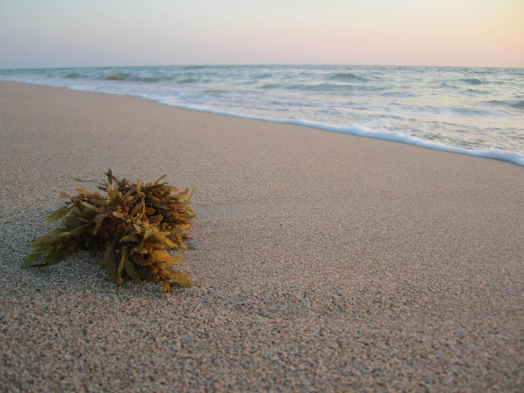 Lanta Il Mare 3* Koh Lanta