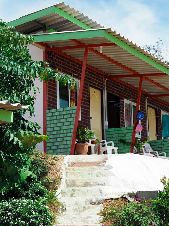 Cat Guest house