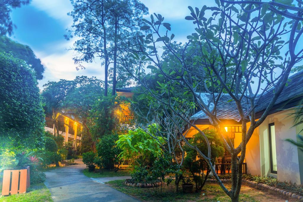 The Hive Resort
