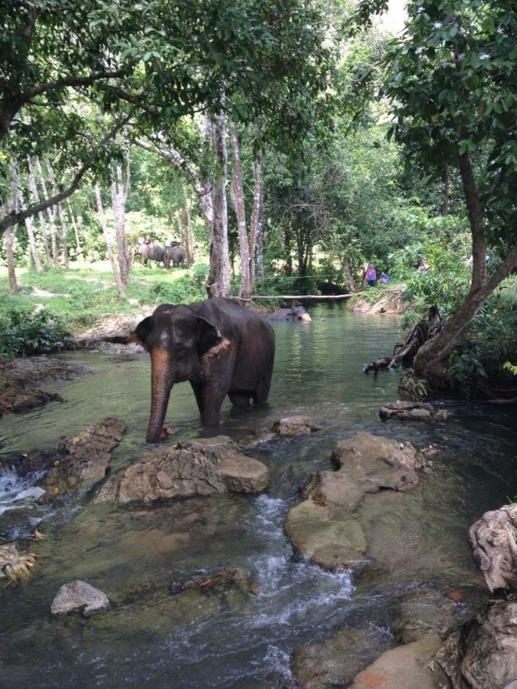 Water Garden Krabi 2*
