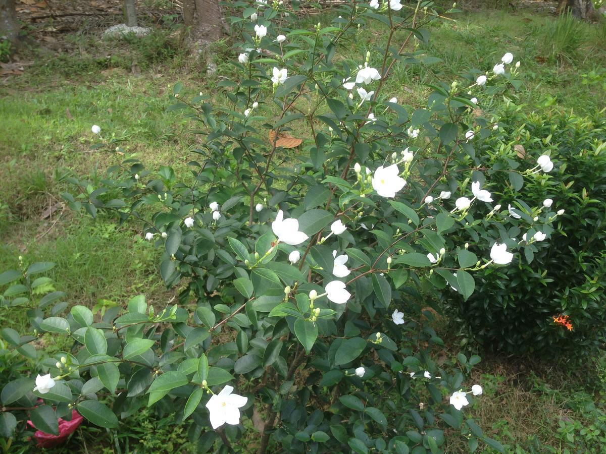 Holiday home Baanphong Lanta
