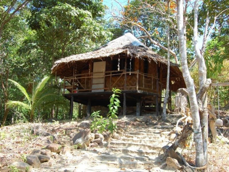 Peace Paradise