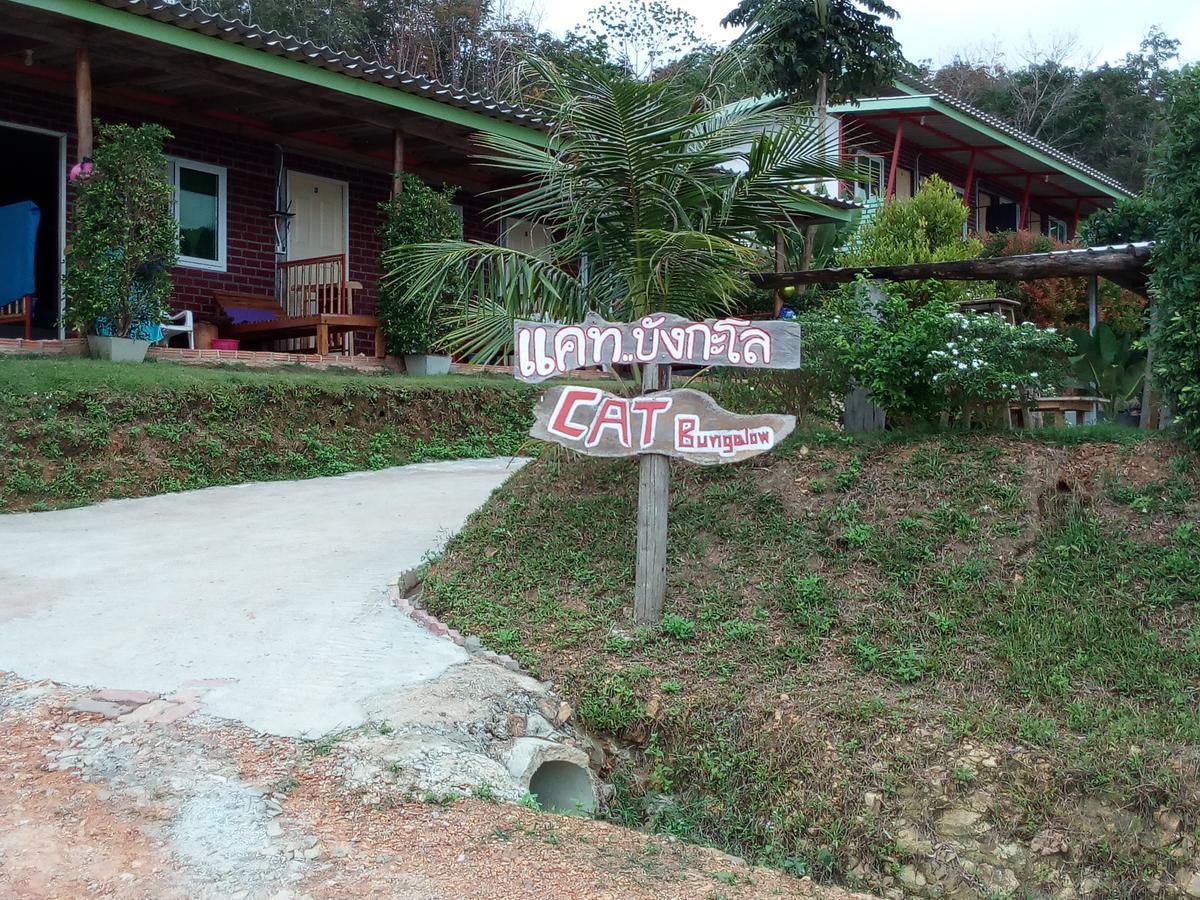 Cat Guest house