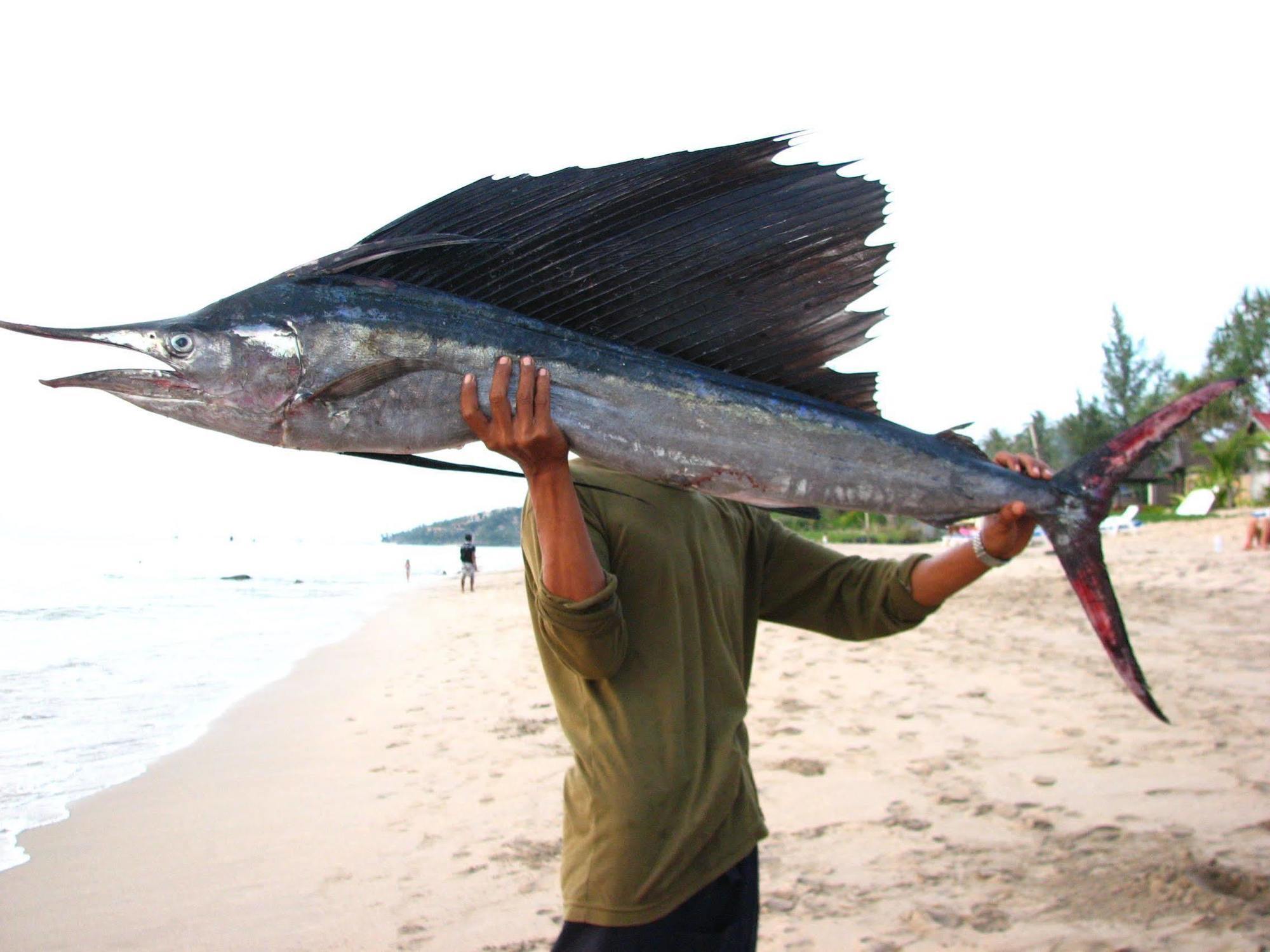Nature Resort, 2* Koh Lanta
