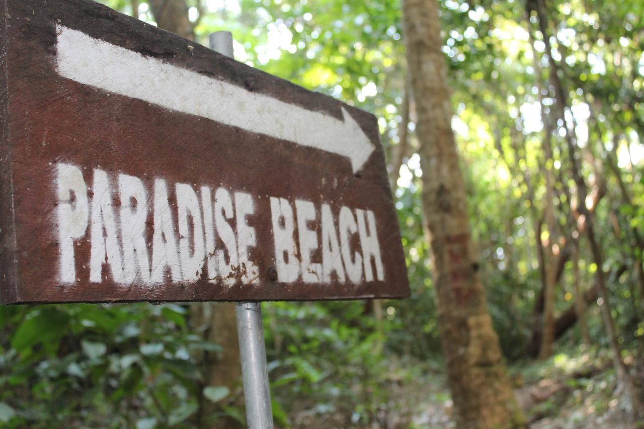 Paradise