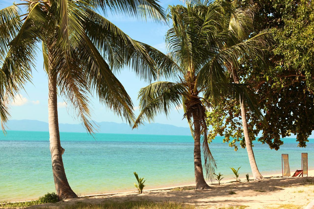 Health Oasis Resort 3*