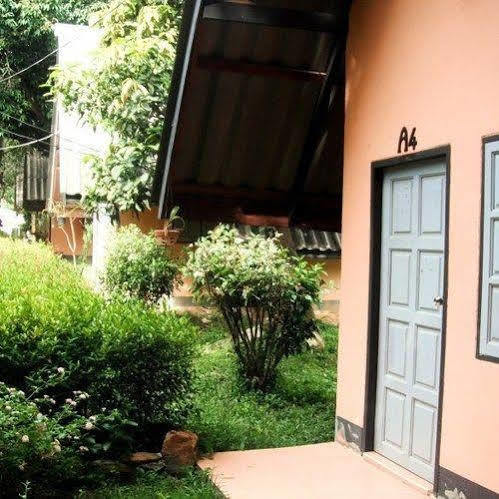 Cashewnut Tree Lodge