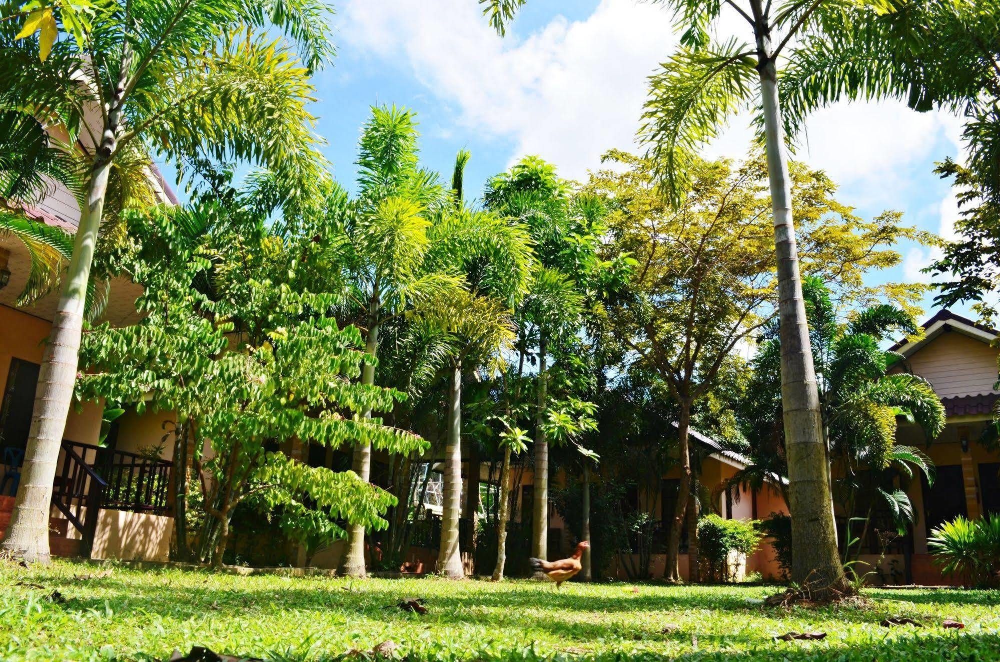 Guest house Naraya 2*
