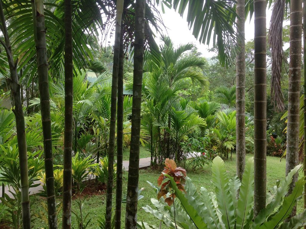 Vipa Tropical Resort Ao Nang