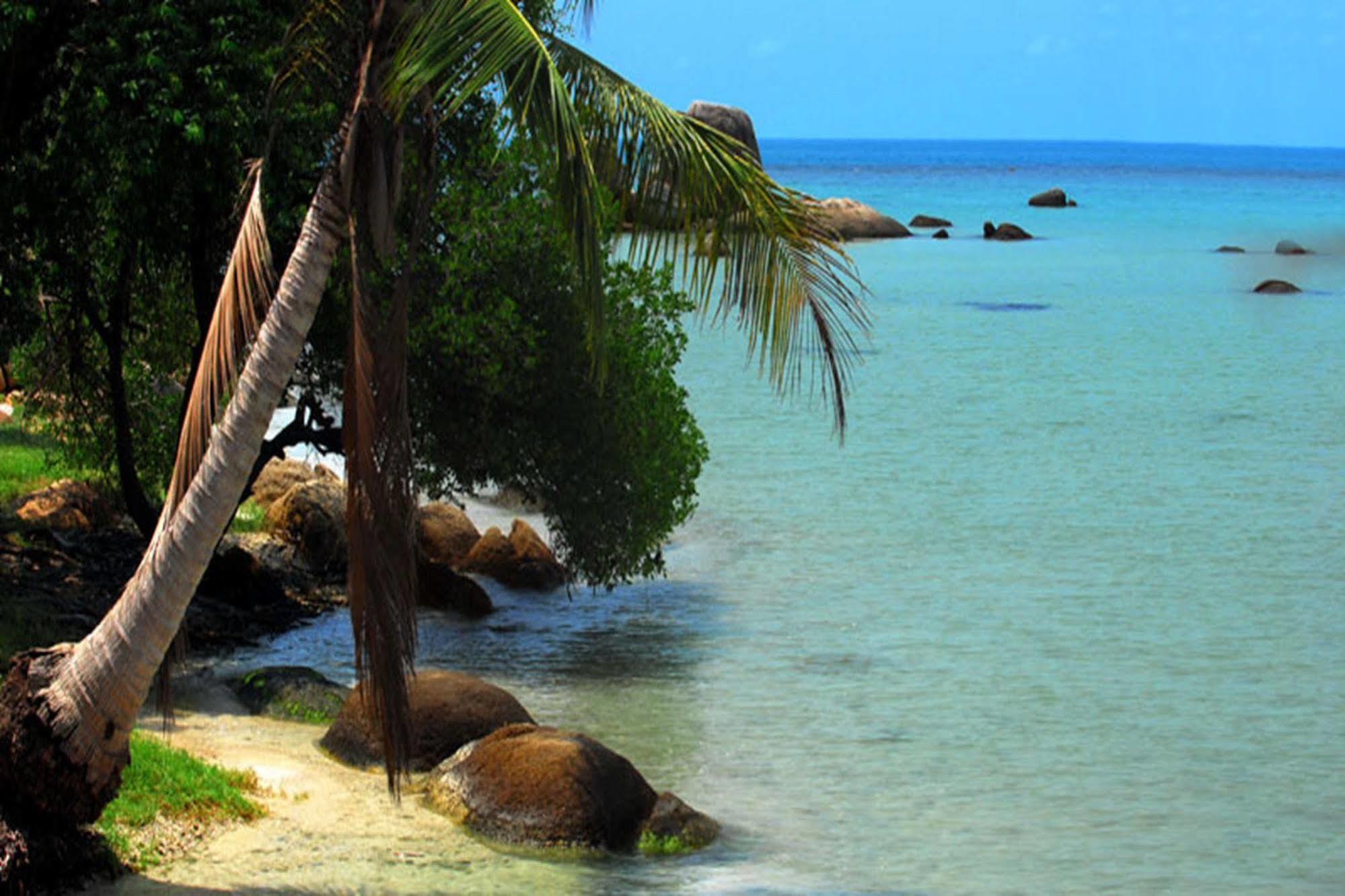 Resort Cinnamon