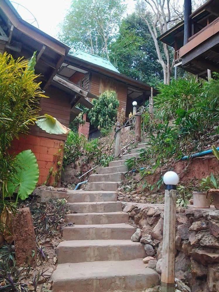 Aosi View 2*