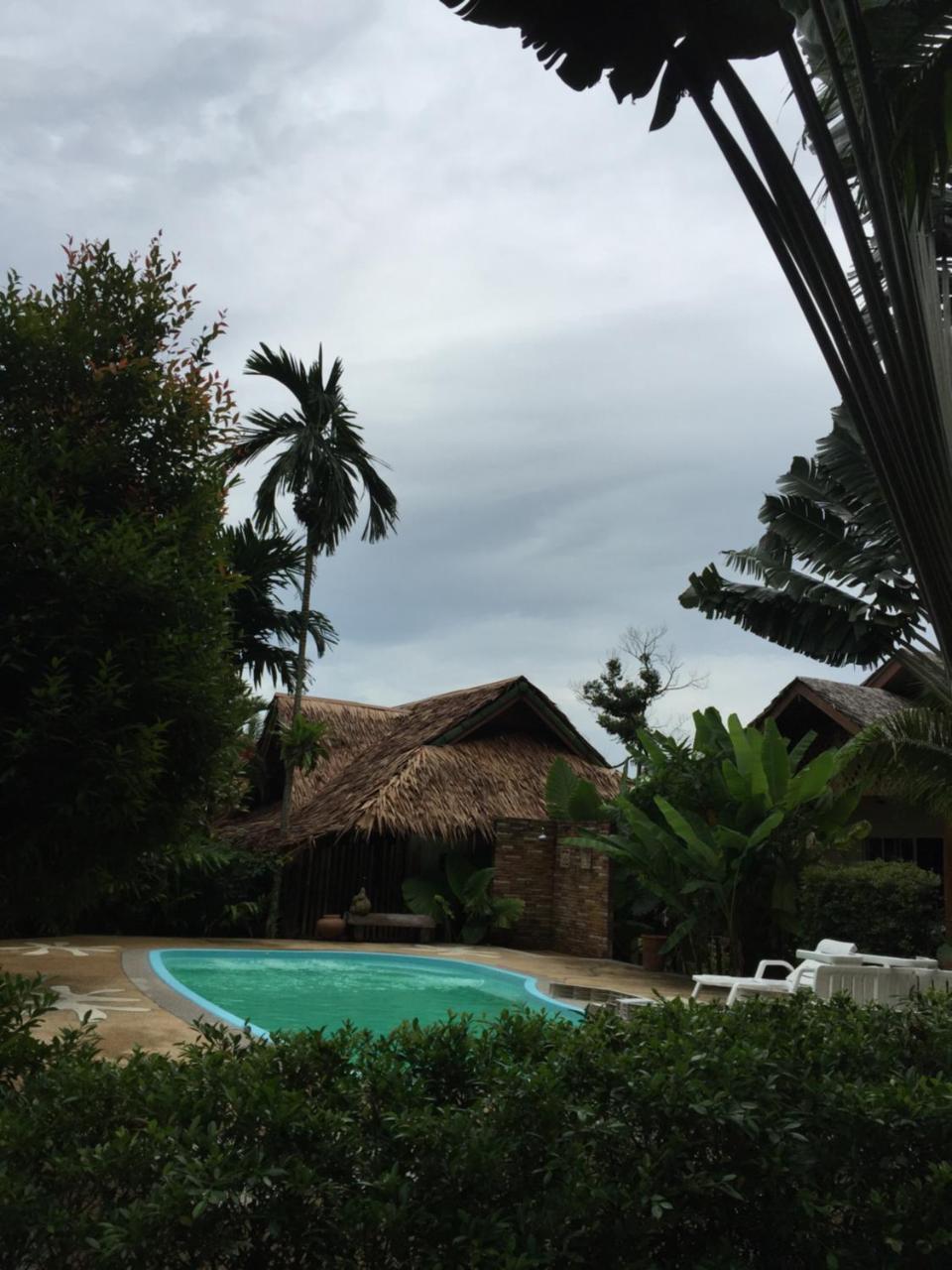Vipa Tropical