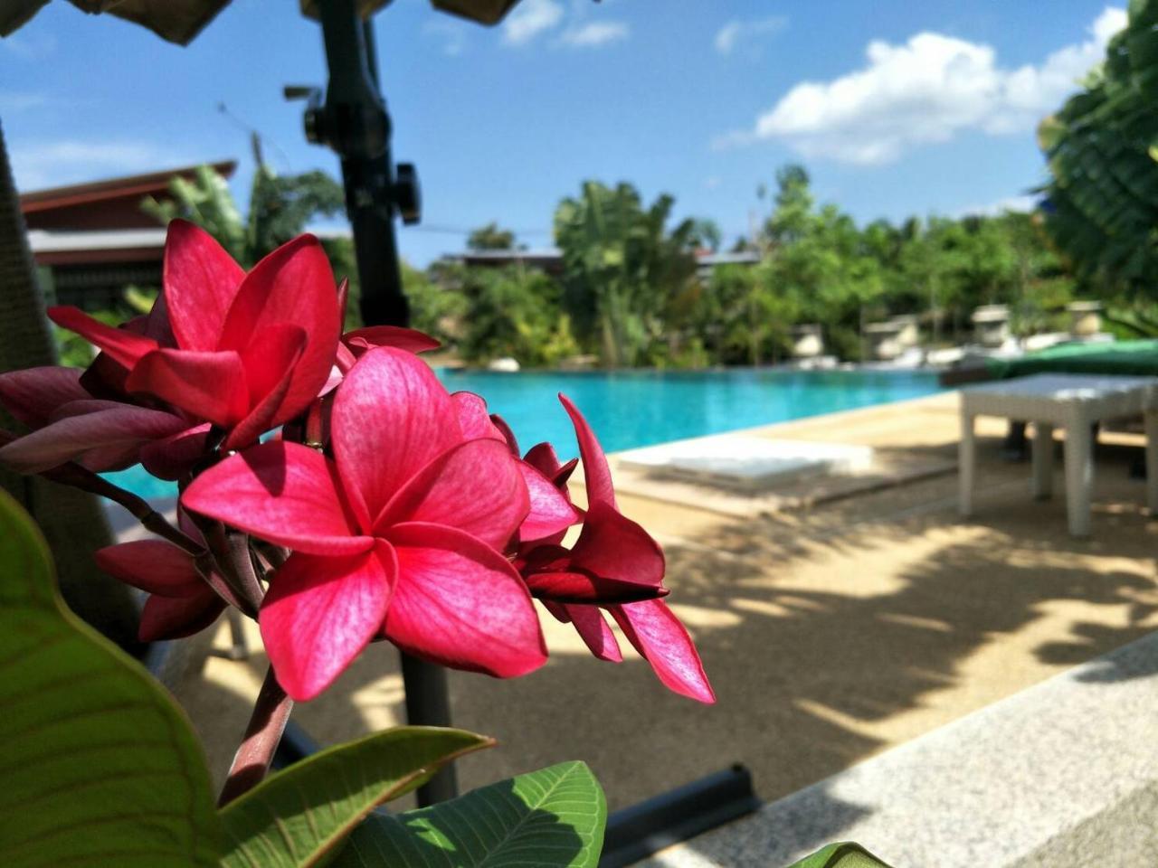 Hotel Arthaya - Sha Extra Koh Lanta