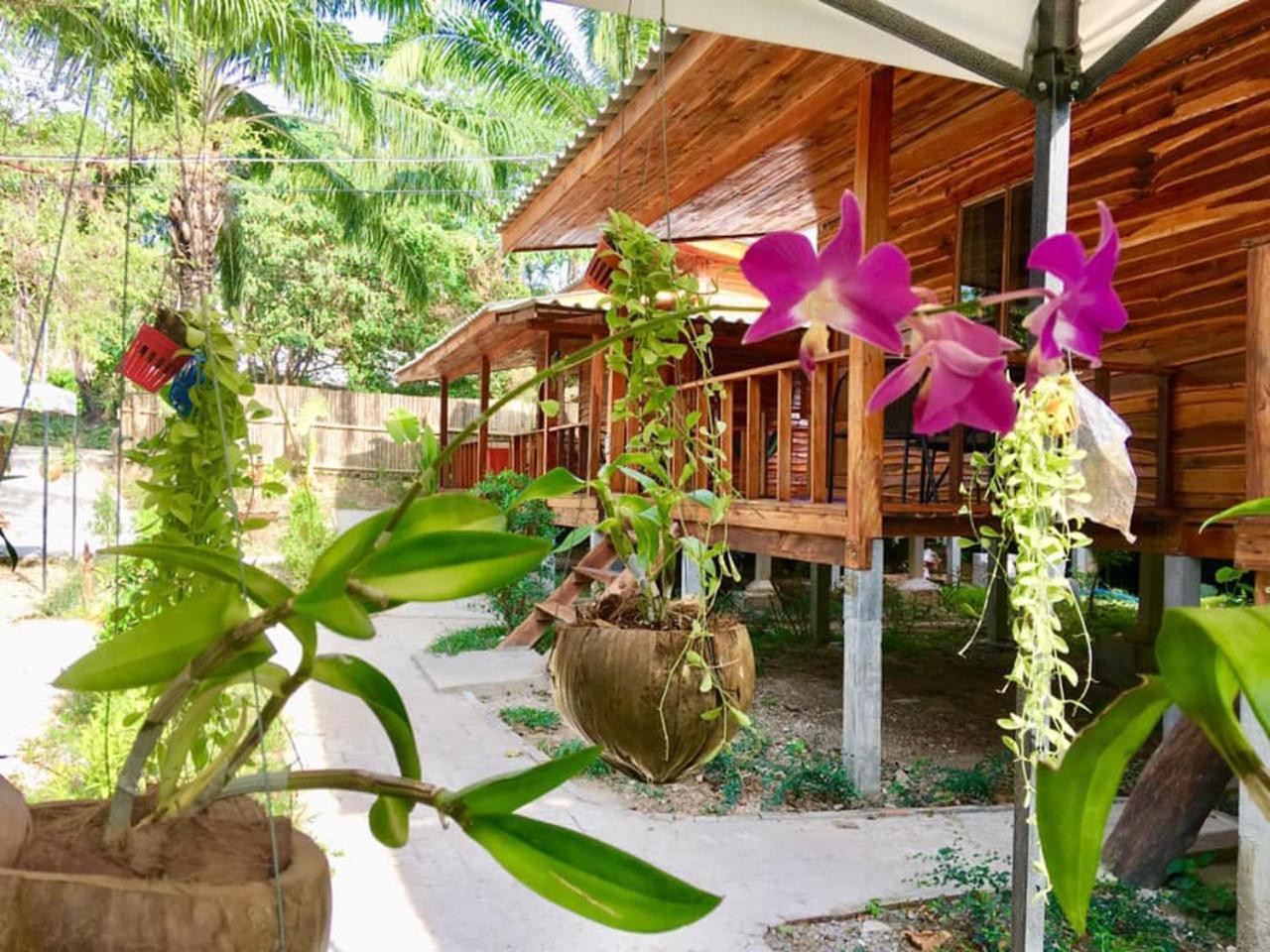 Guest house Lanta A Toi House *