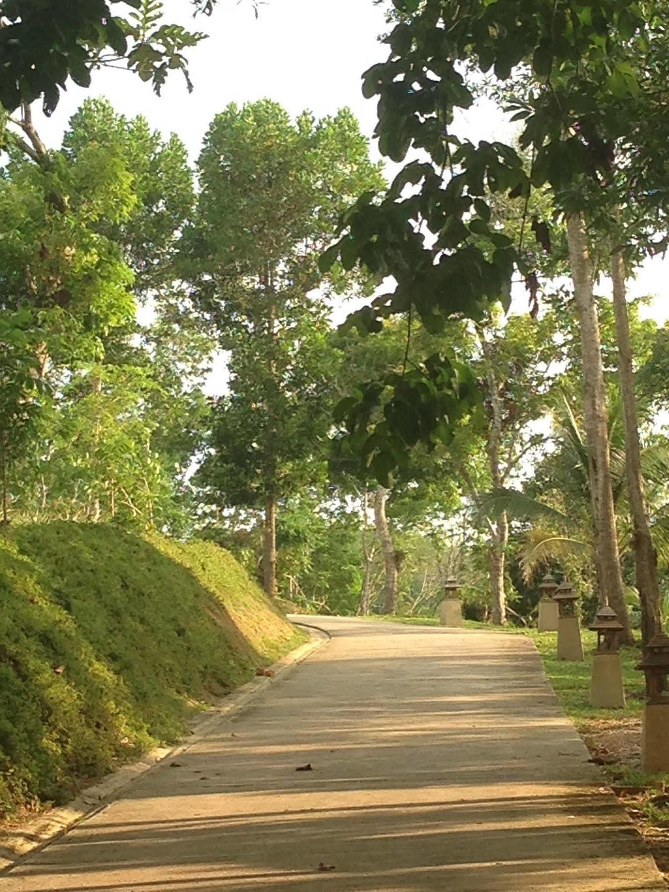 De Chom Villa *
