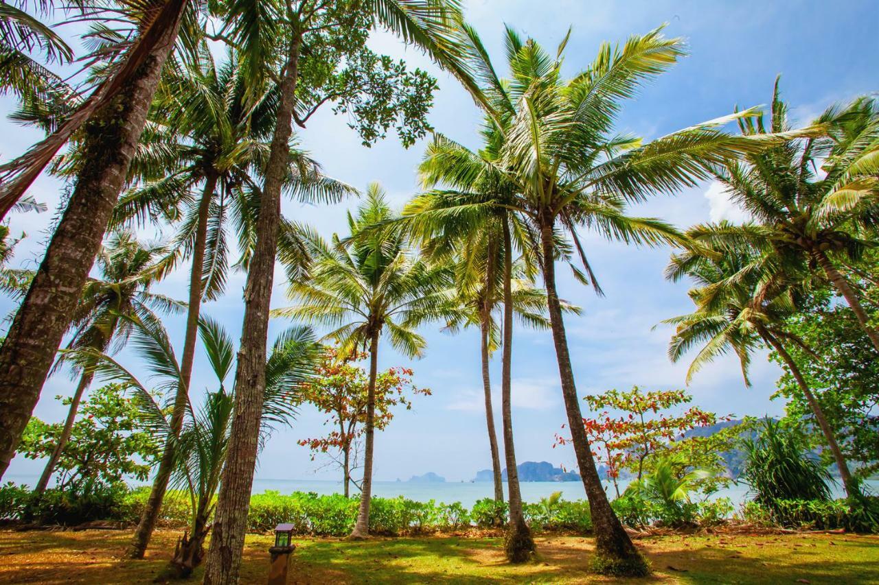 Amatapura 6 *
