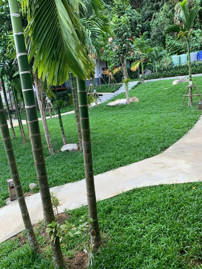 Vipa Tropical