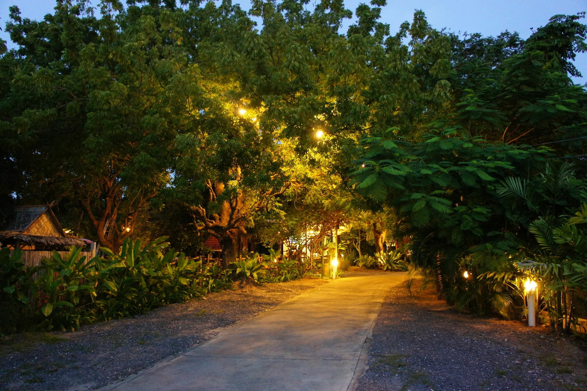 Resort Palm Village Rawai
