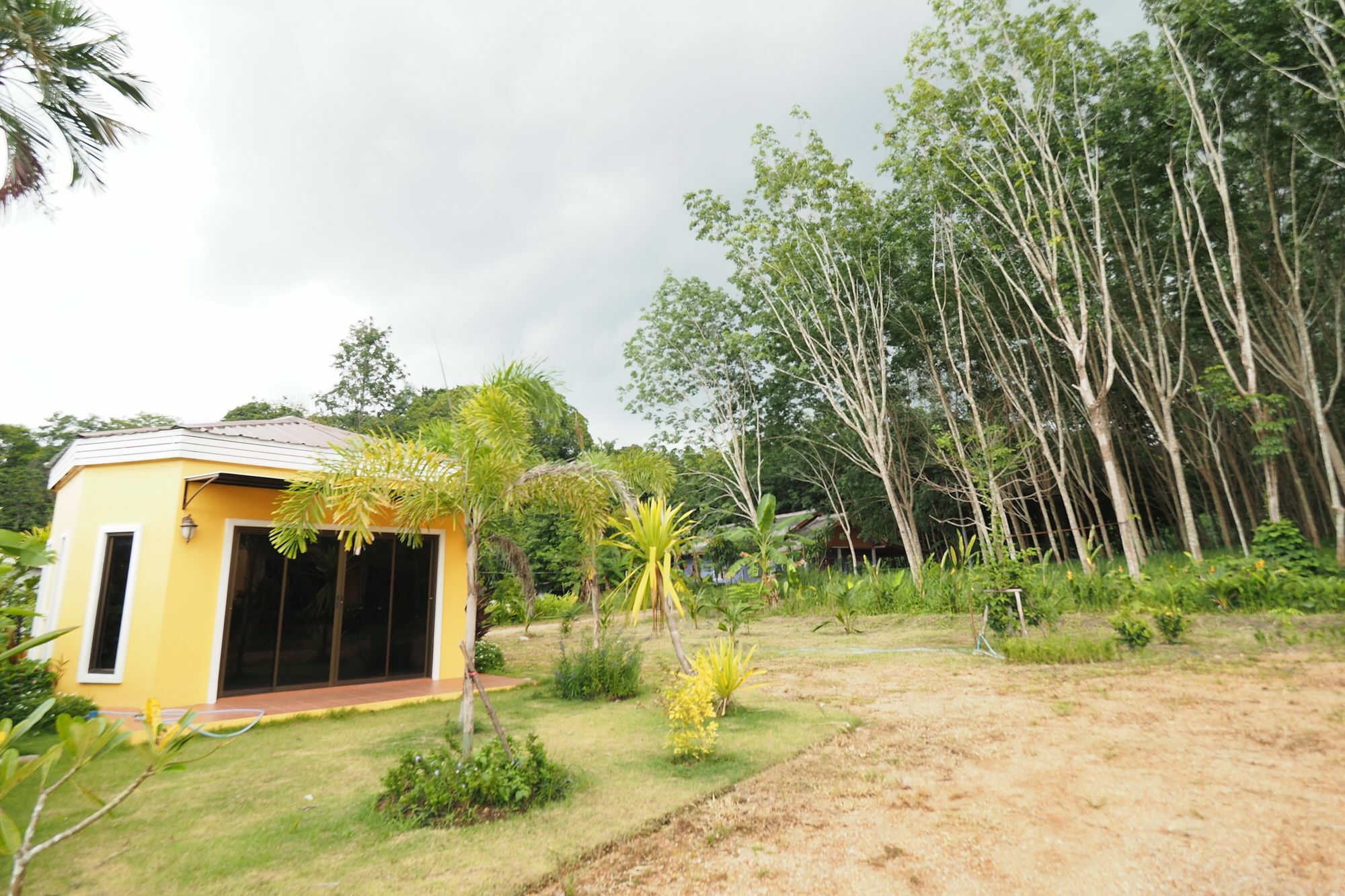 Tree Guest house