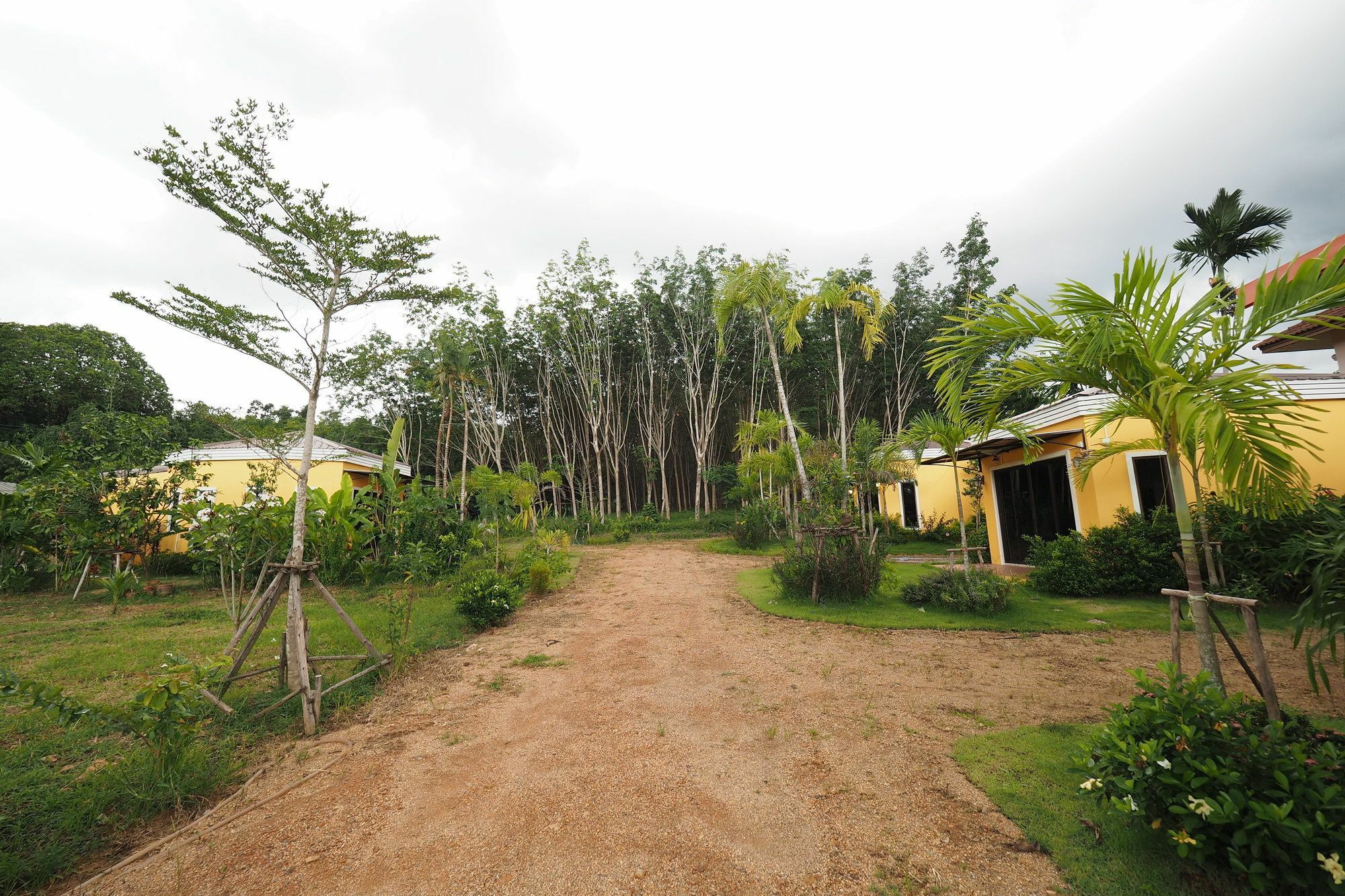 Tree Guest house Klong Muang Beach