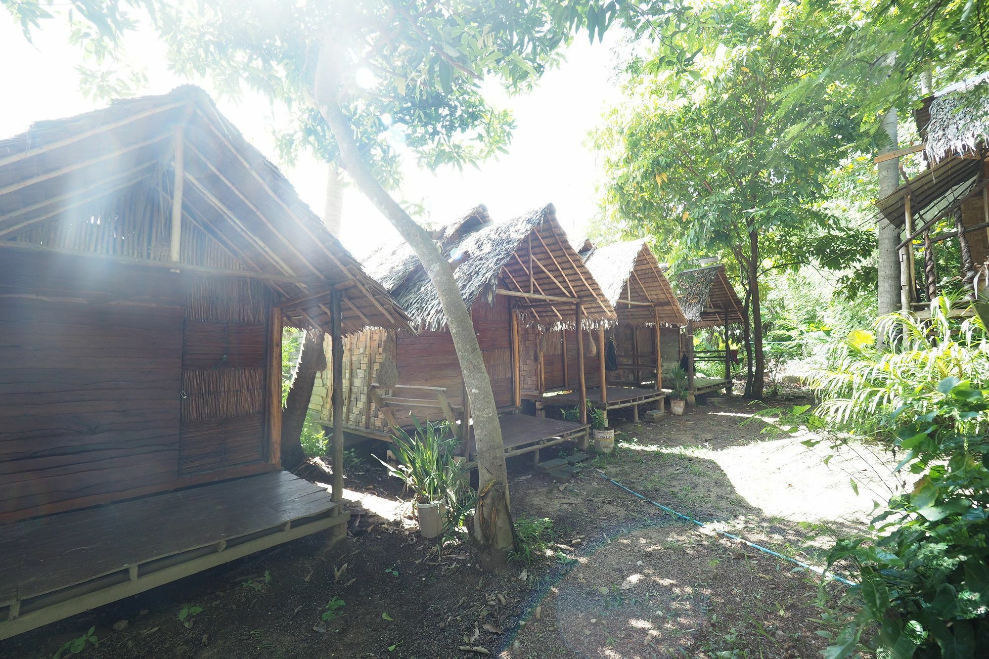Easy Huts Guest house