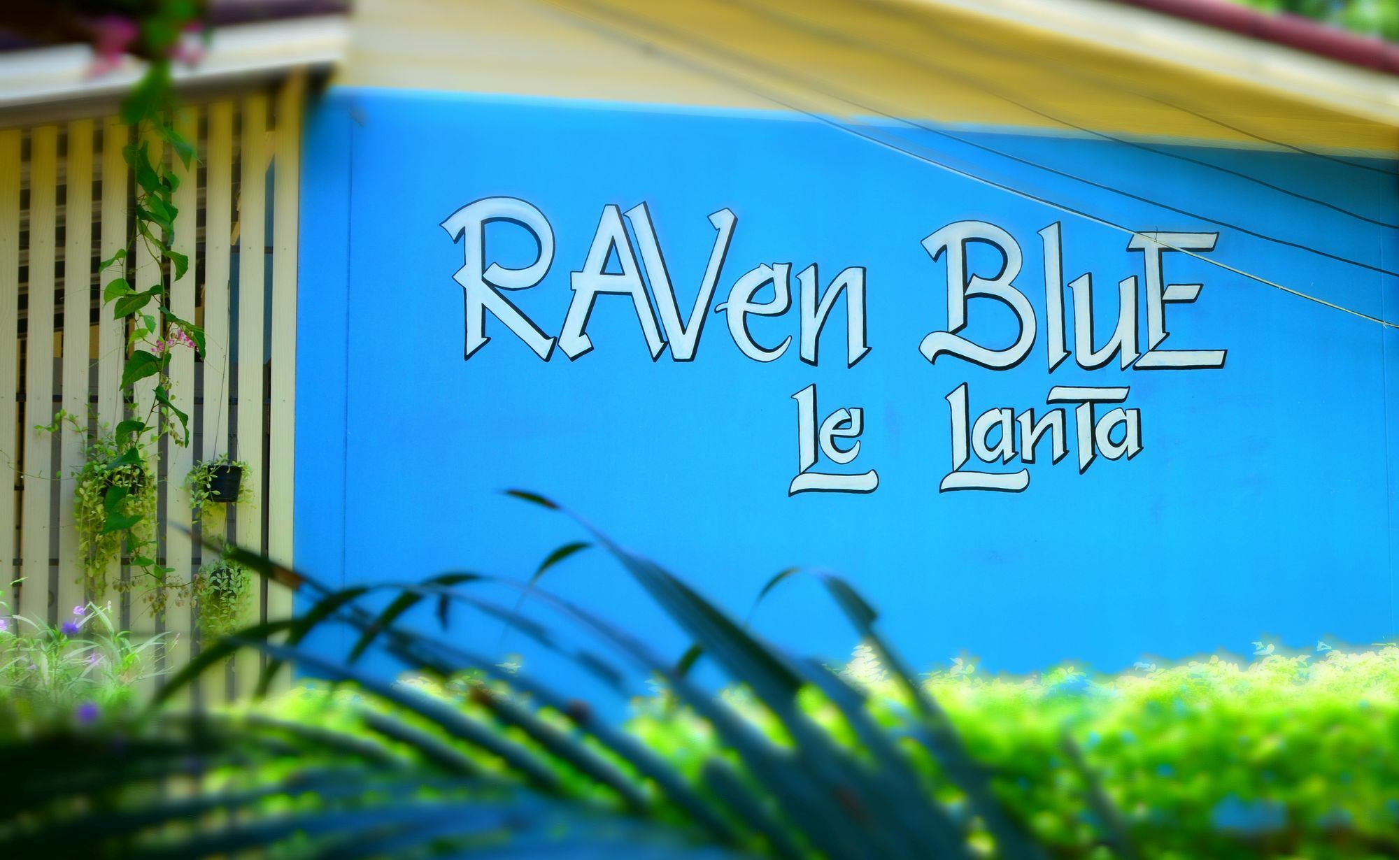 Raven Blue Guest house