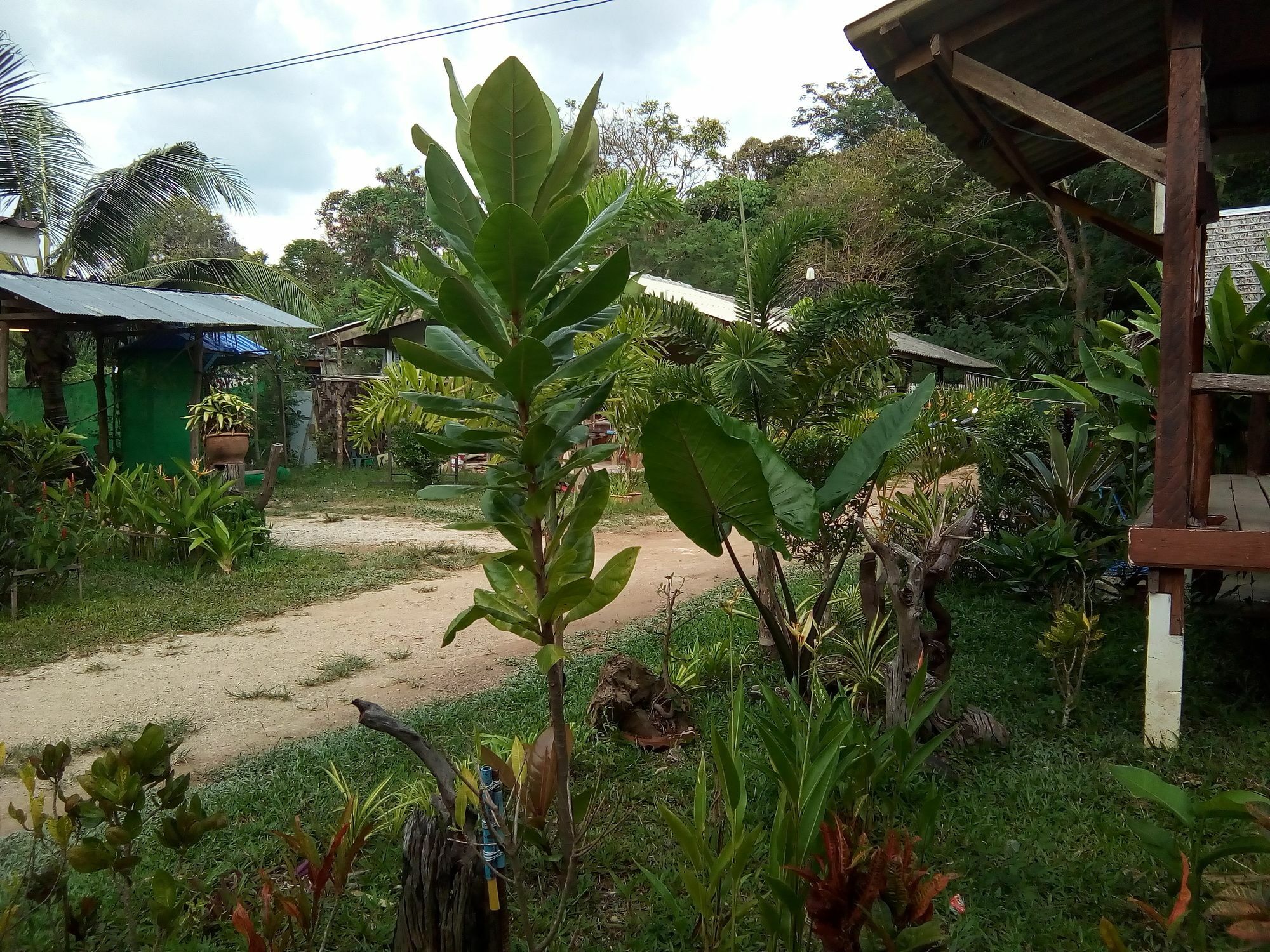 Klong Khong Garden Koh Lanta
