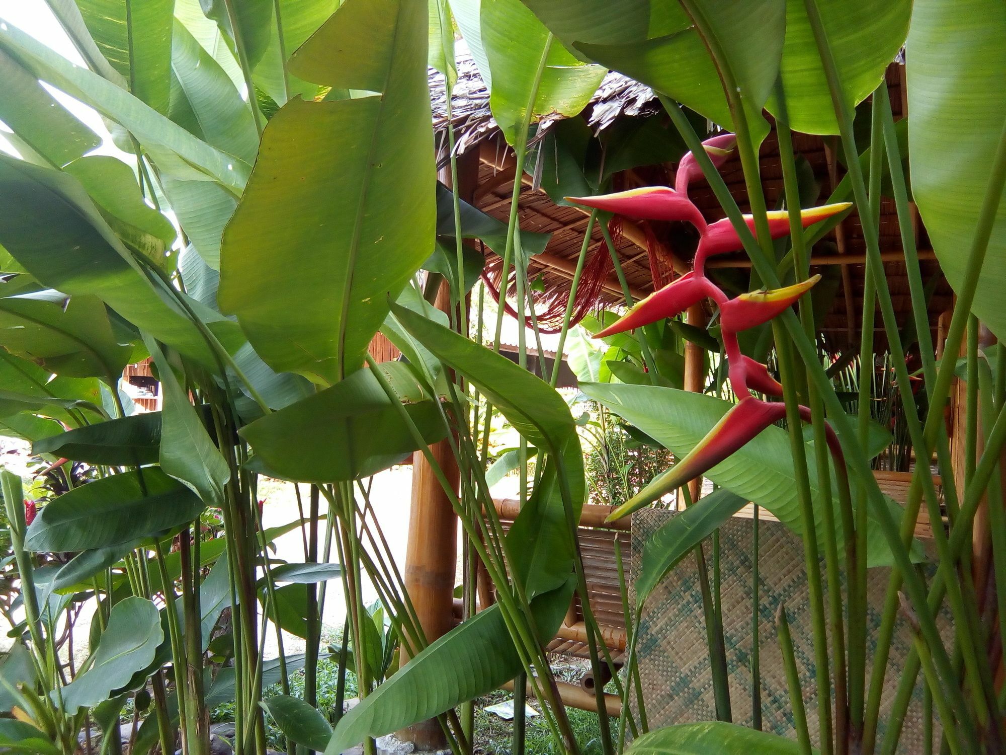 Klong Khong Garden Guest house