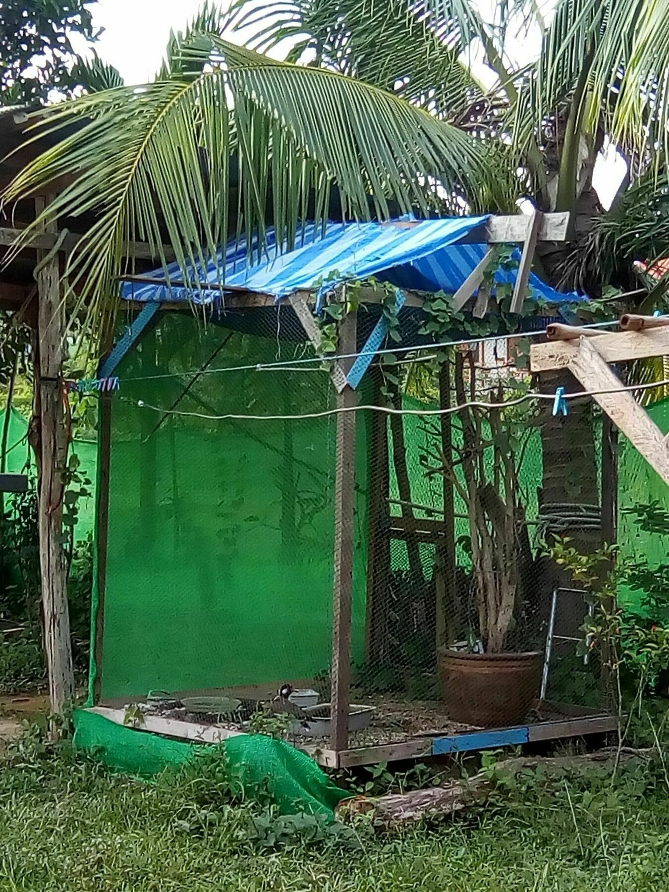 Klong Khong Garden
