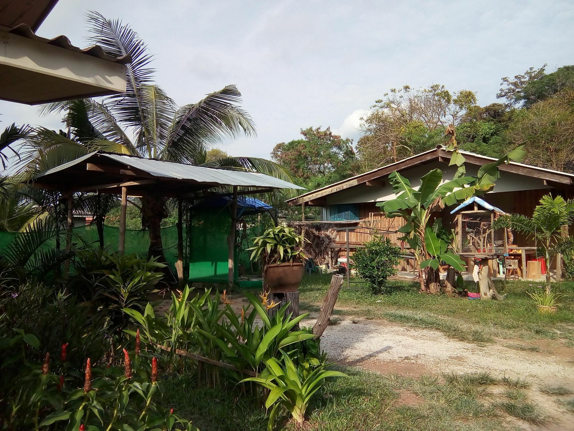 Klong Khong Garden Koh Lanta