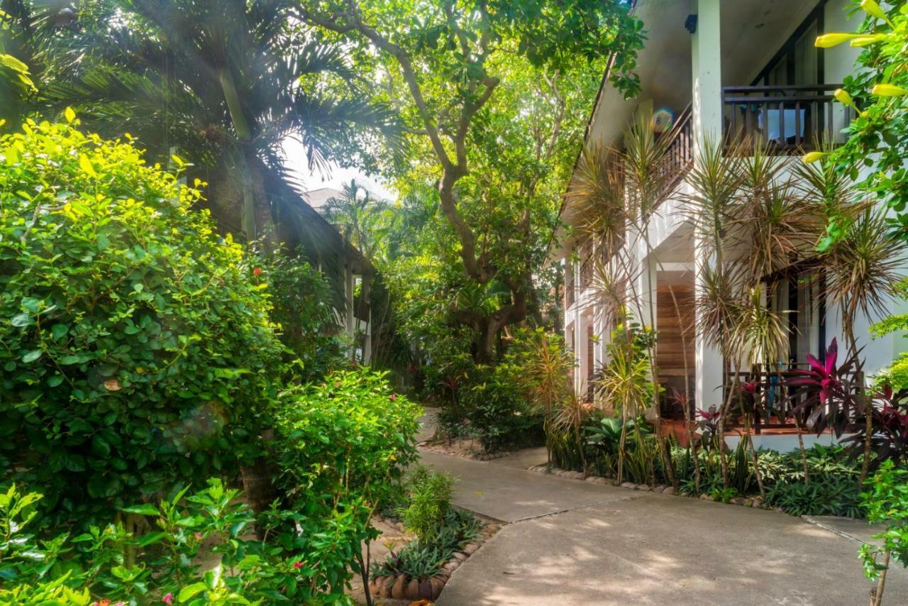 The Hive Resort 3*