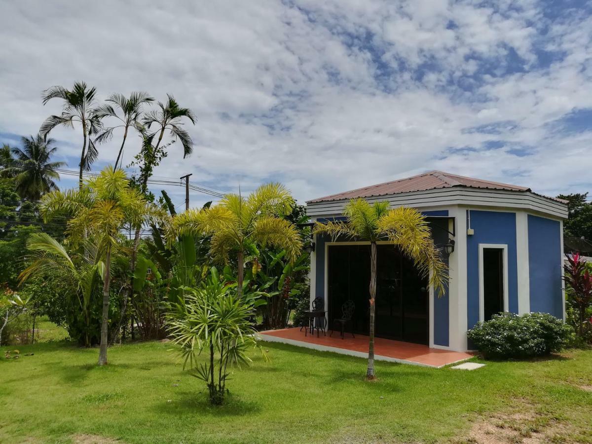 Tree Guest house *