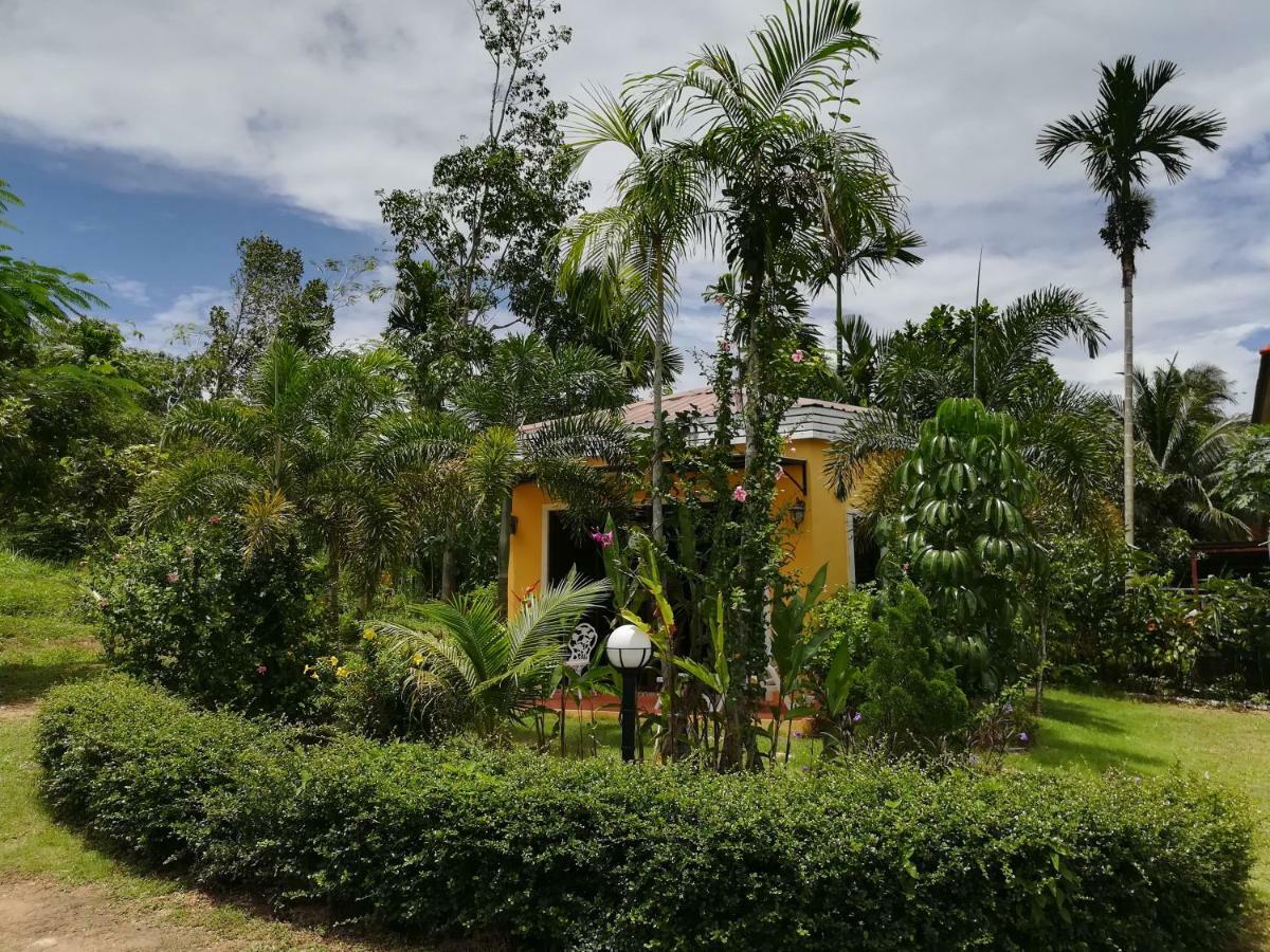 Guest house Tree