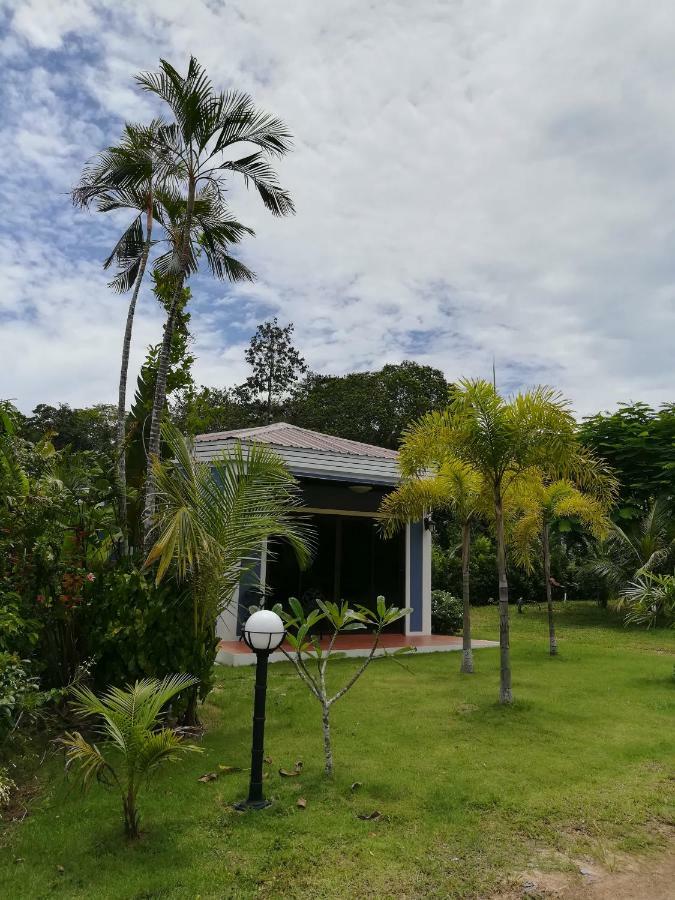 Guest house Tree *