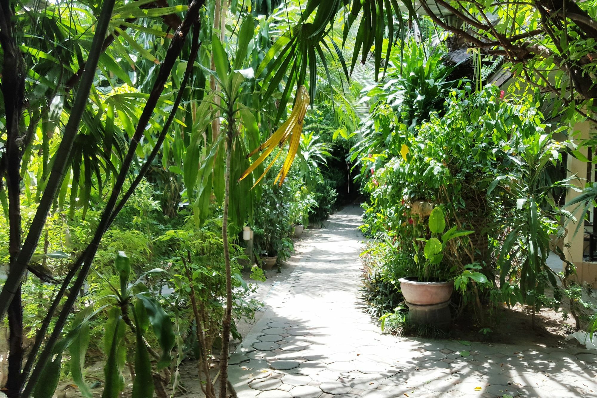 Guest house The Chess Samui Chaweng (Koh Samui)