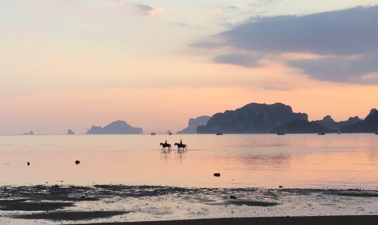 Dawn Of Happiness Ao Nam Mao