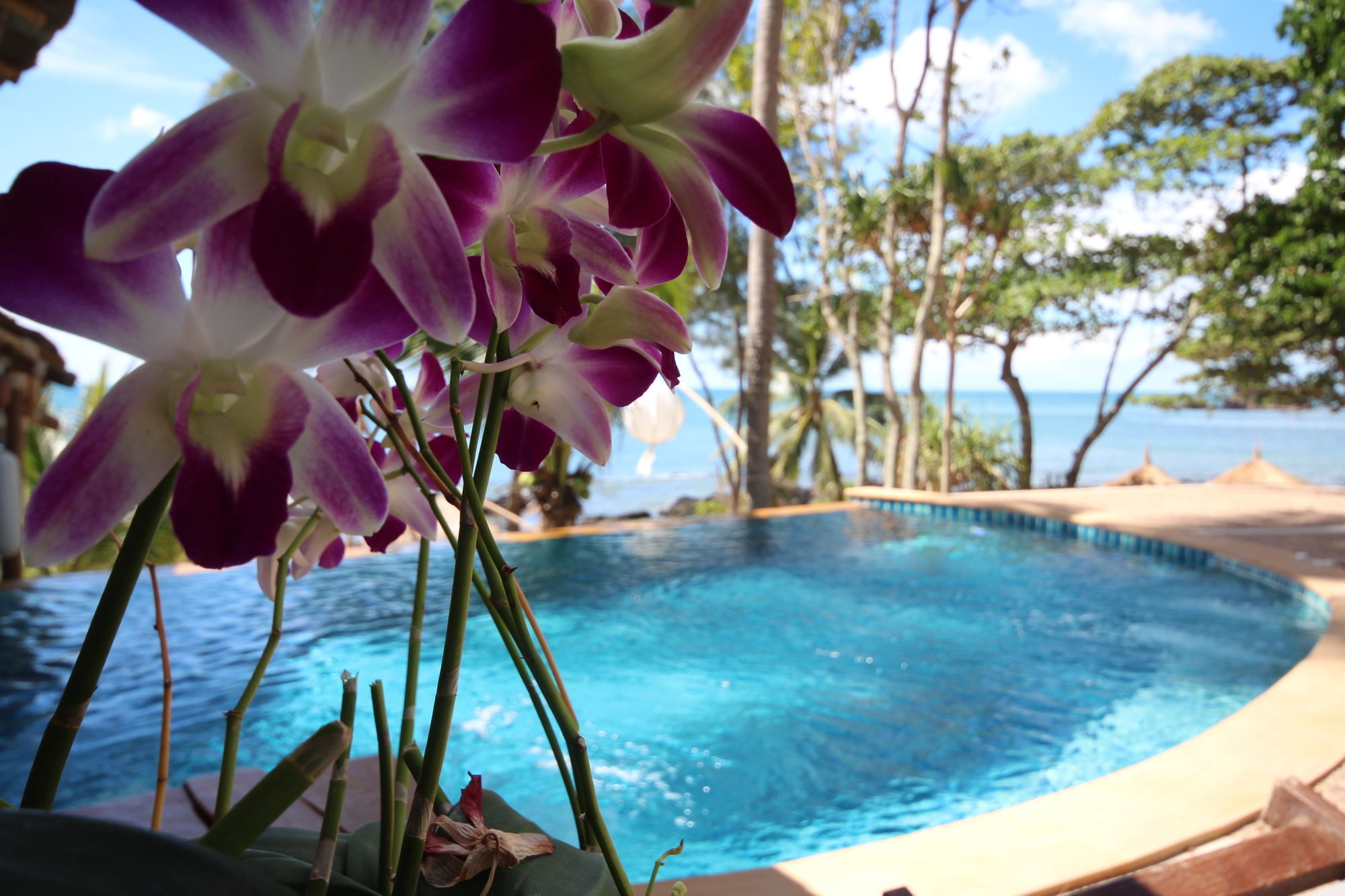 Resort Coco Cape Lanta - Sha Extra Koh Lanta